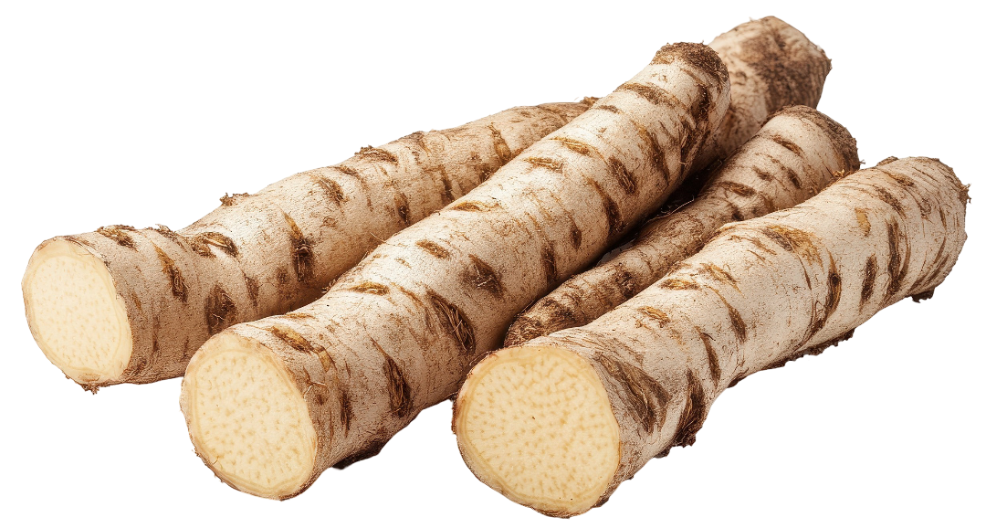 Chrzan korzeń widok 1