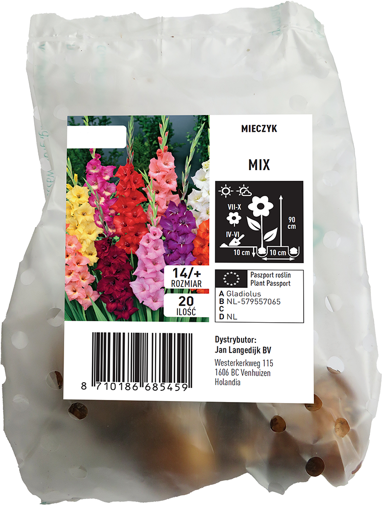 Cebula kwiatowa Mieczyk mix 20szt widok 1