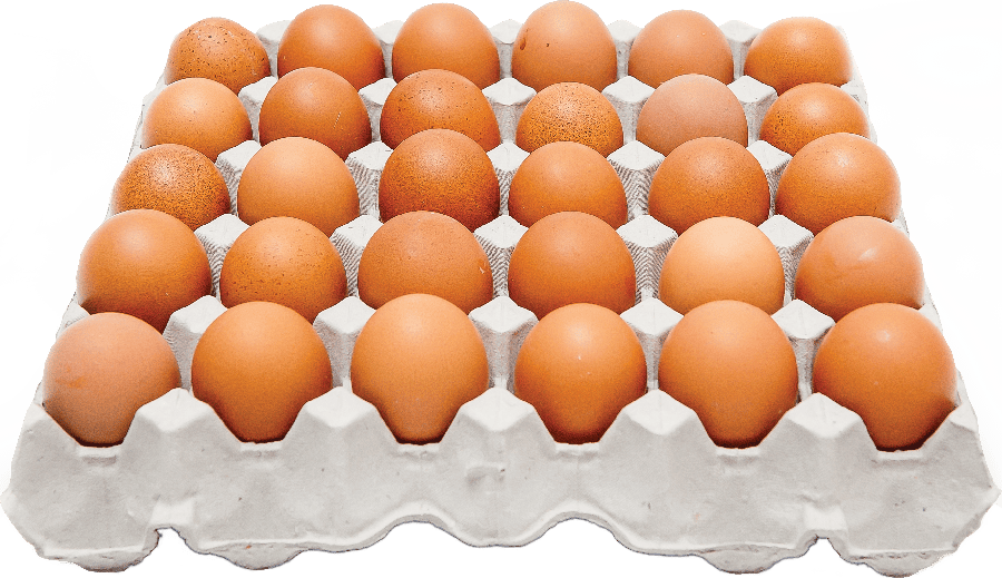 Jaja świeże M ściółkowe 30szt widok 1