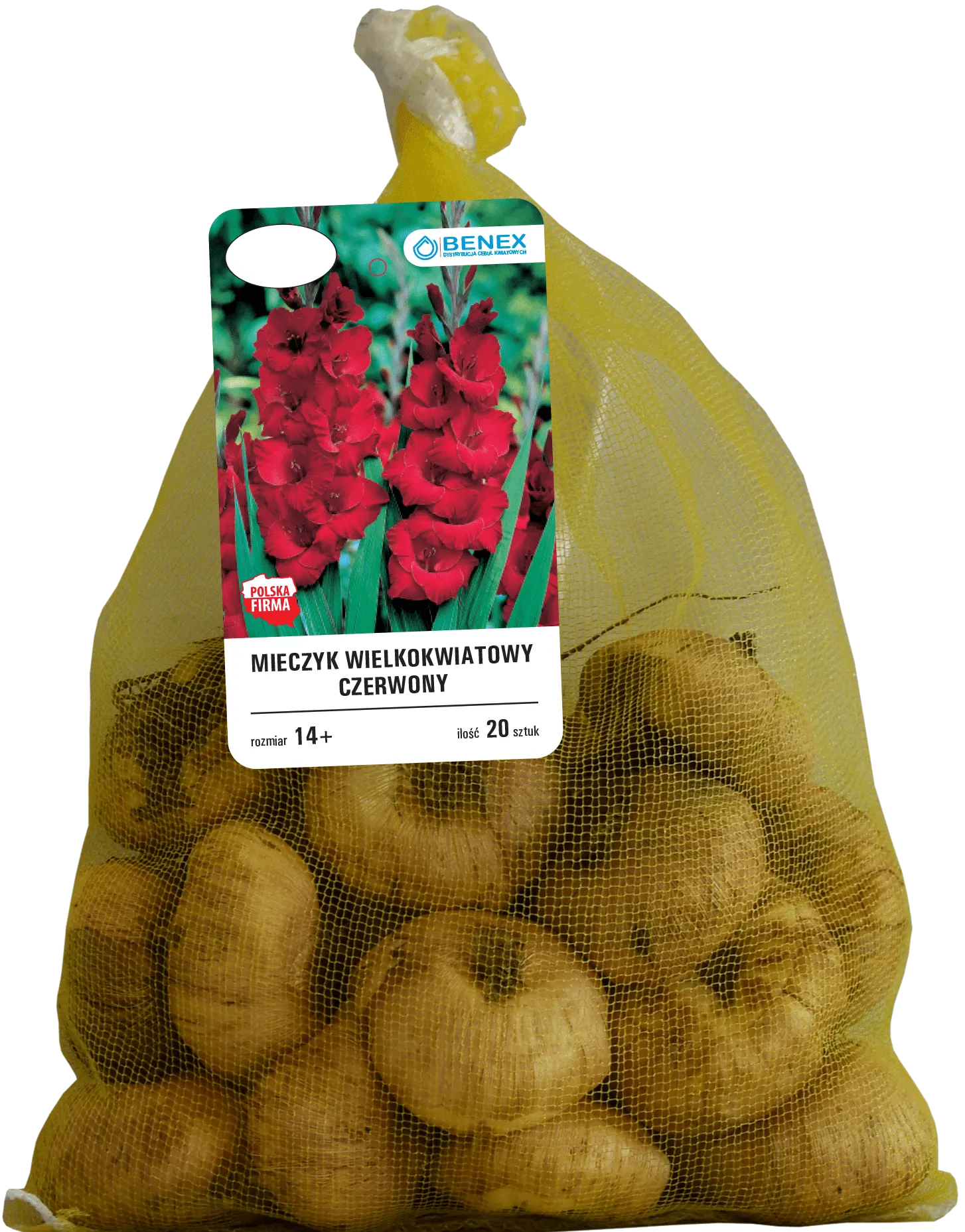 Cebula kwiatowa Mieczyk wielokwiat. mix 20szt widok 2