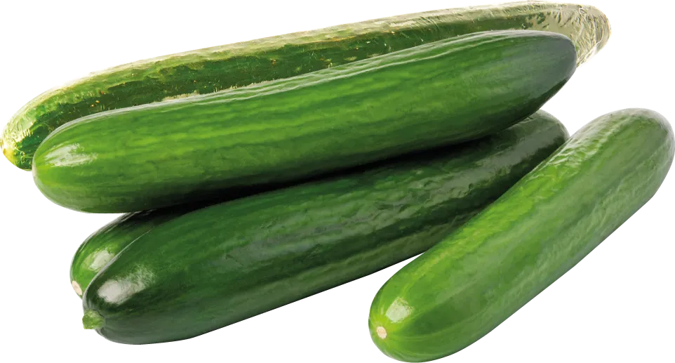 Ogórek zielony kg widok główny