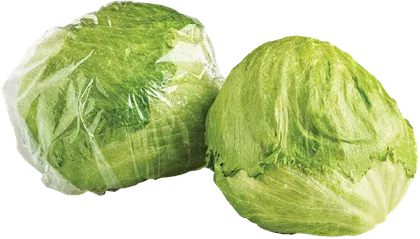 Sałata lodowa szt widok główny