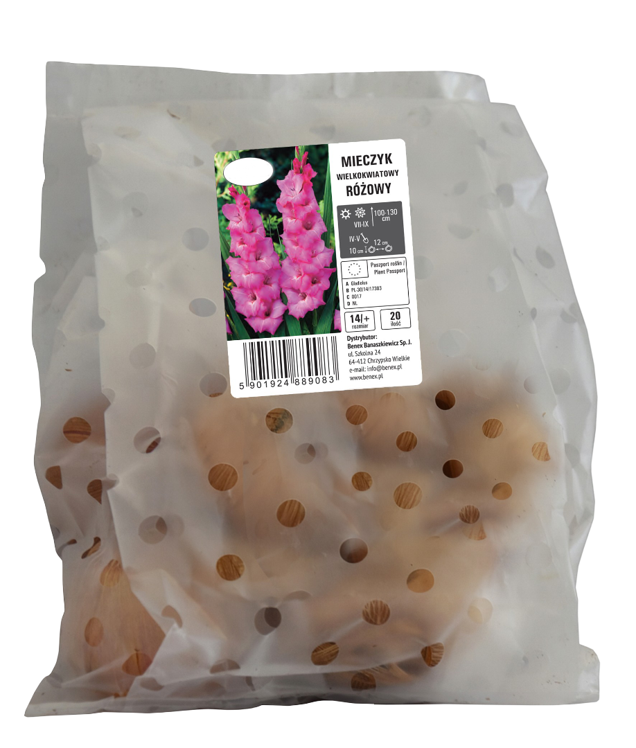 Cebula kwiatowa Mieczyk wielkokwiat. różowy 20szt widok 1