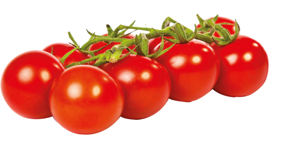 Pomidor cherry widok 1