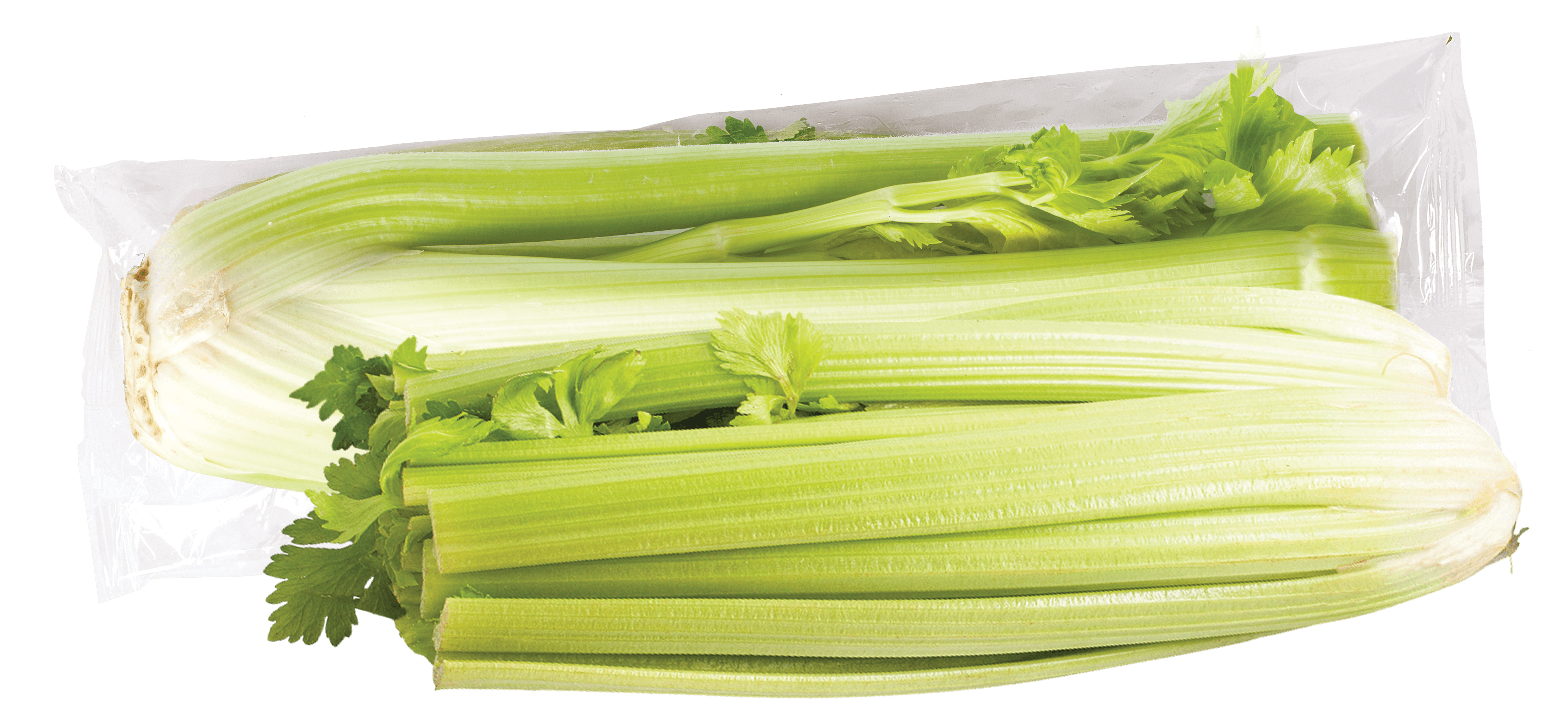 Seler naciowy widok 1