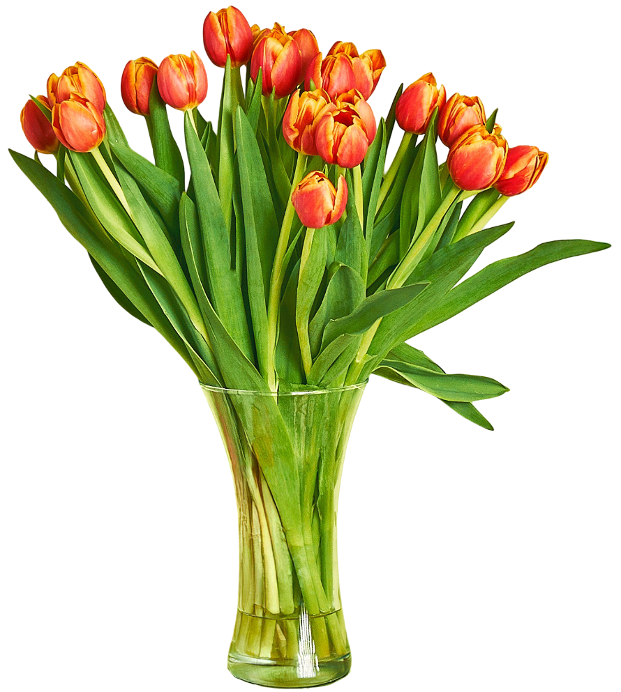 Kwiat bukiet Tulipan 21szt widok główny