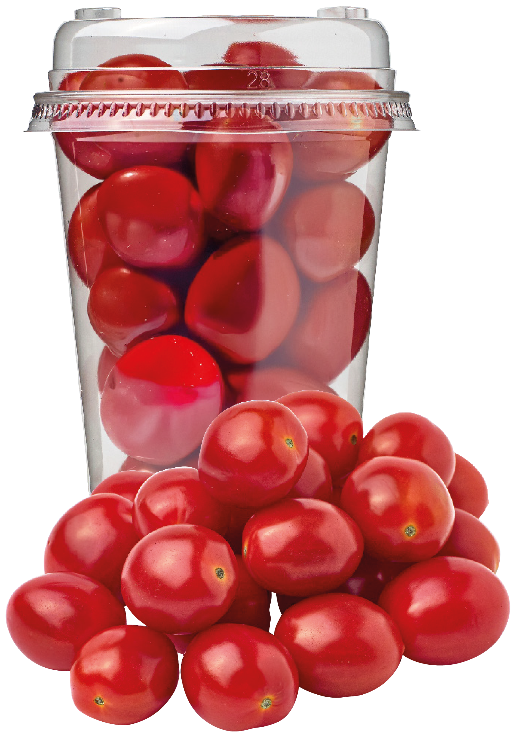 Pomidor daktylowy shaker widok 1