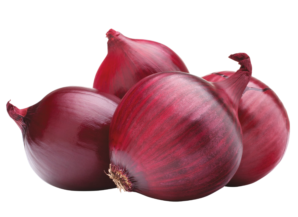 Cebula czerwona widok 1