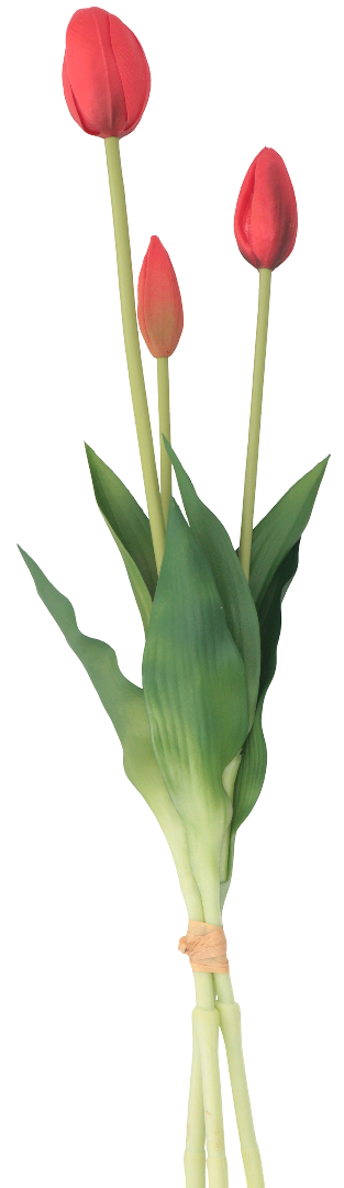 Tulipan gumowy 3szt 47cm widok 1