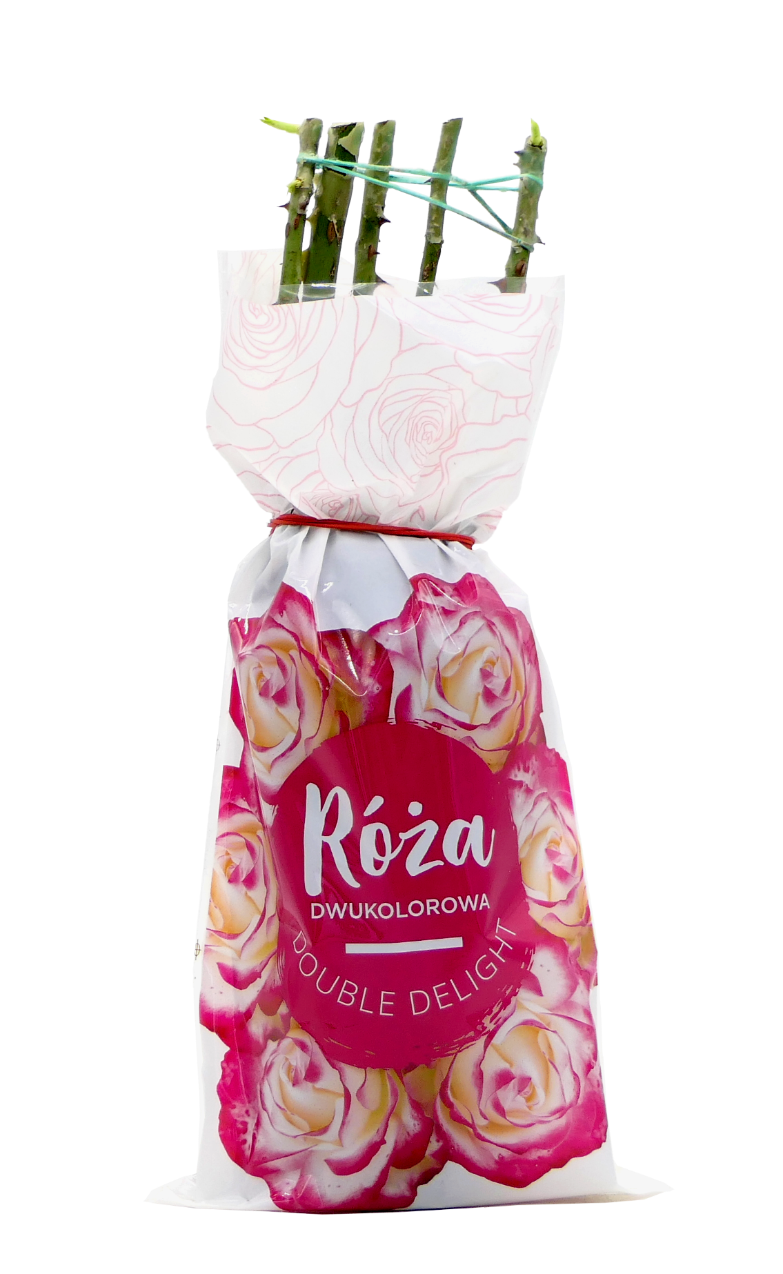Krzew Róża dwukolorowa Double Delight balot szt. widok 1