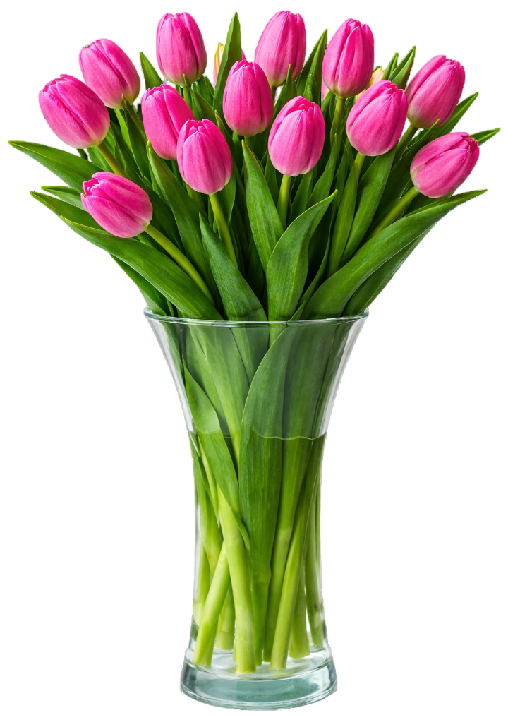 Kwiat bukiet Tulipan 15szt widok główny