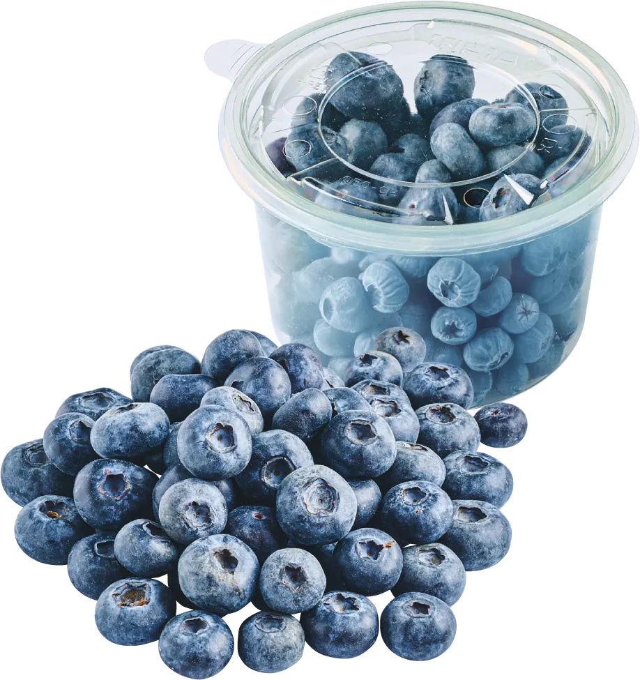 Borówka Amerykańska 300g szt widok 2