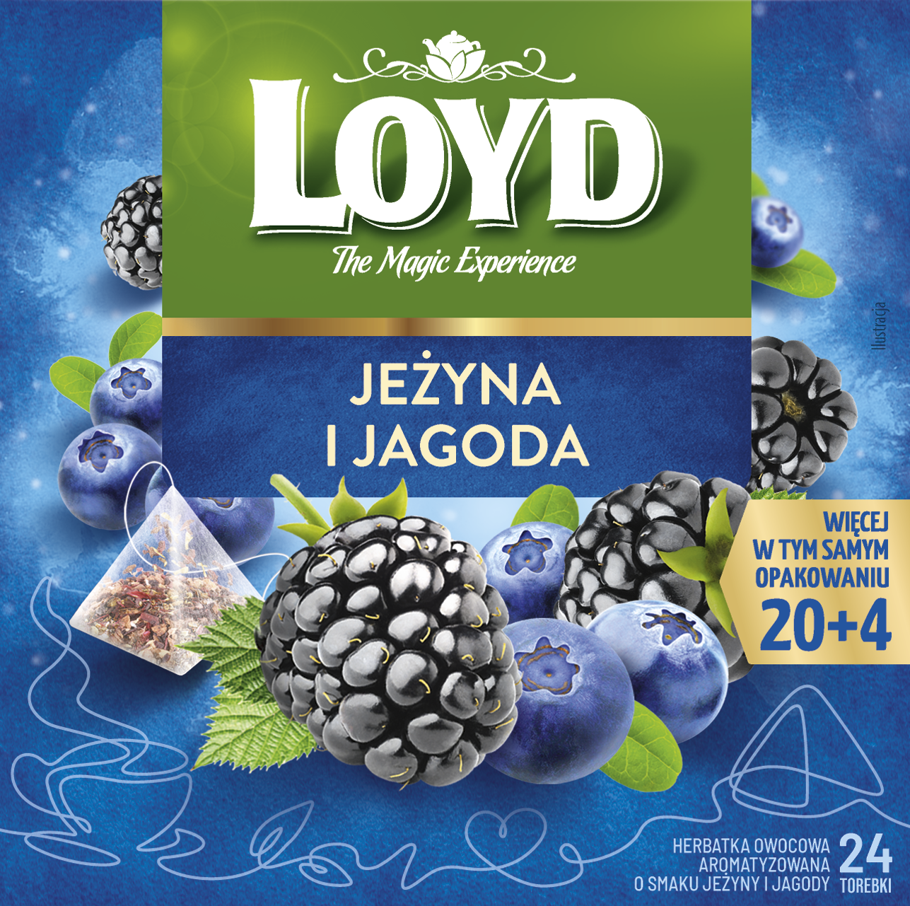 Herbatka owocowa jeżyny i jagody Loyd 24x2g widok główny