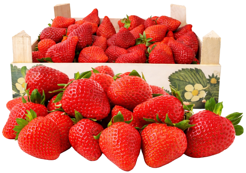 Truskawka widok główny 