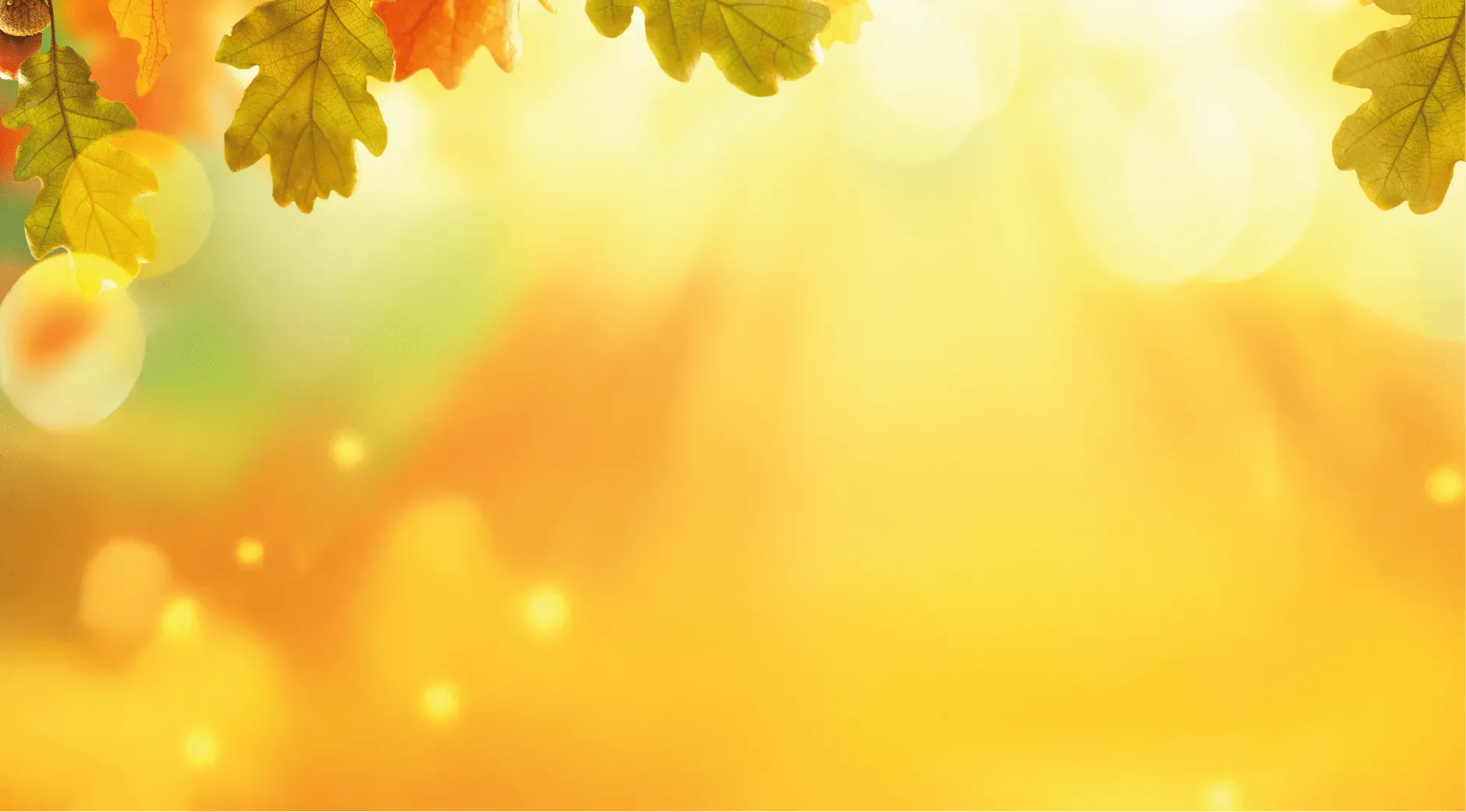 Strona https://api.marketdino.pl/media/filer_public/d4/ff/d4ff502c-f416-4e61-bc40-bdf5c2f2740f/background-36-min.webp