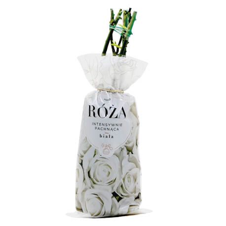 Krzew Róża wielkokwiatowa biała balot szt. widok 1