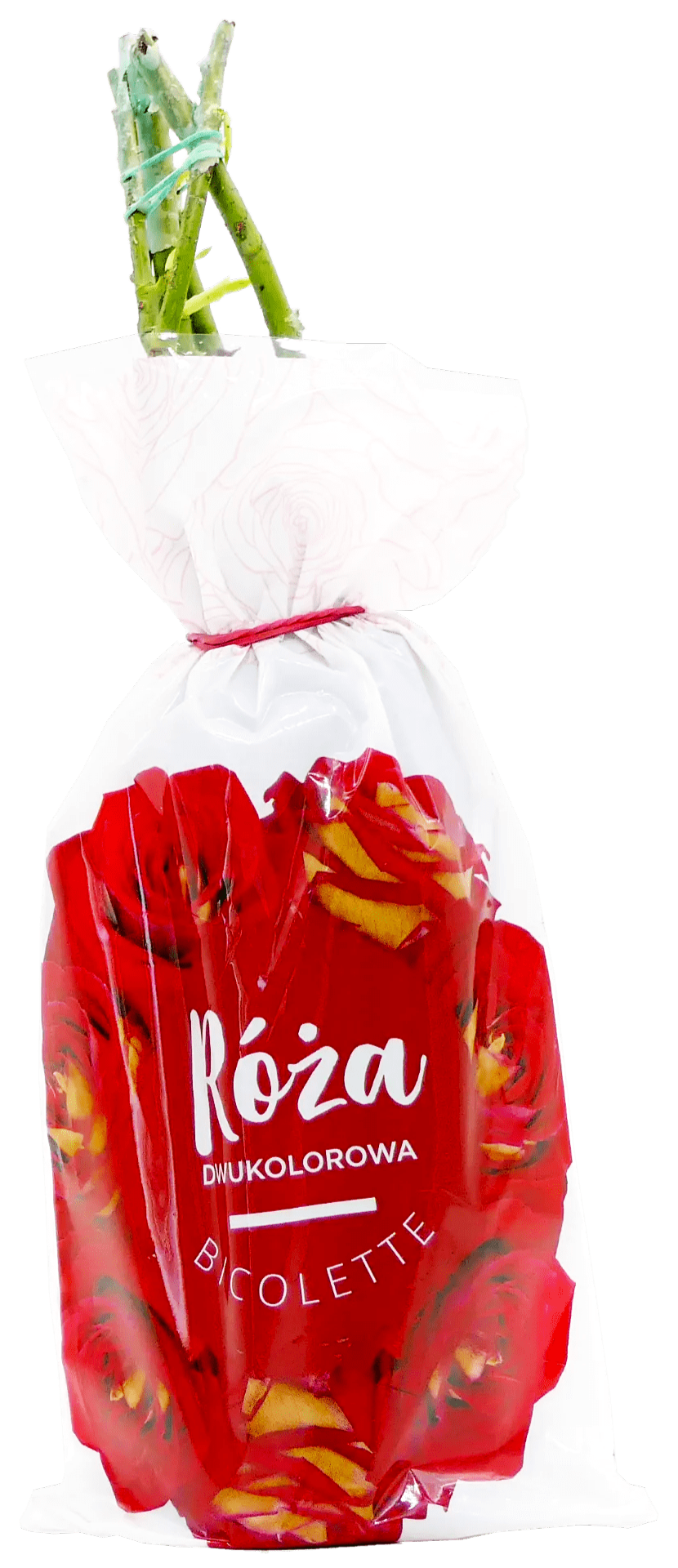 Krzew Róża dwukolorowa Bicolette balot szt widok główny 