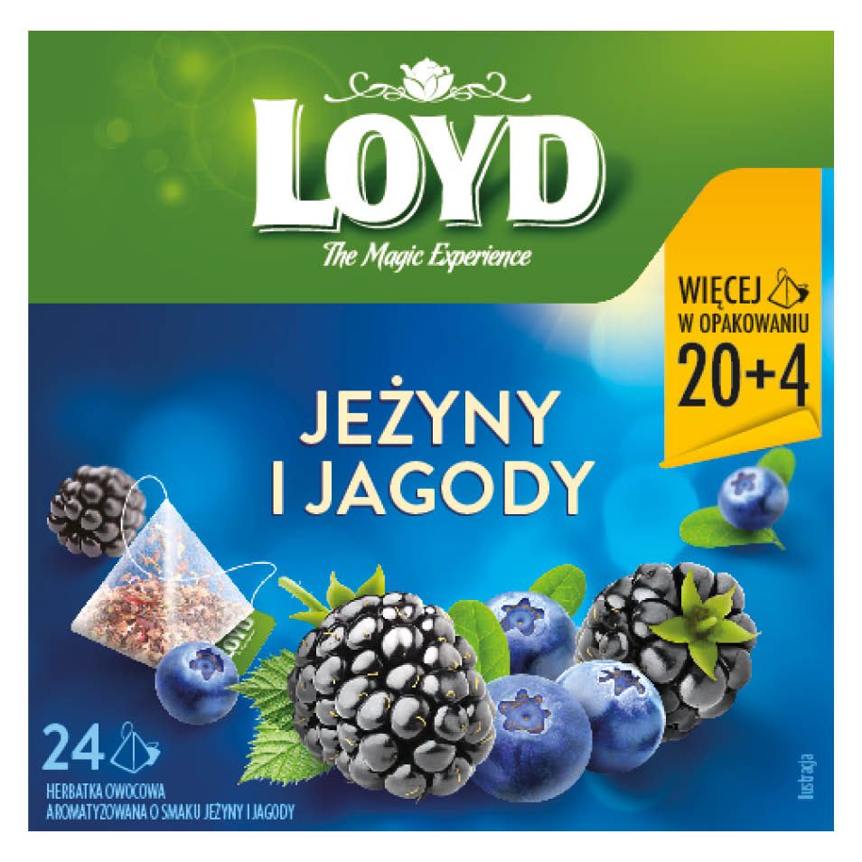 Herbatka owocowa jeżyny i jagody Loyd 24x2g widok główny