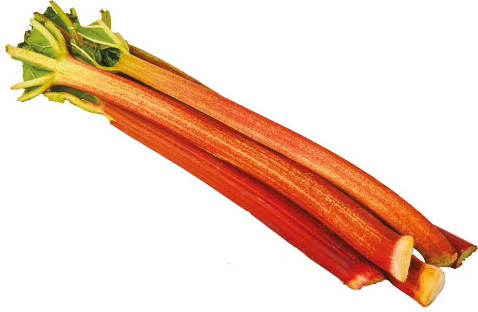 Rabarbar 500g szt widok główny