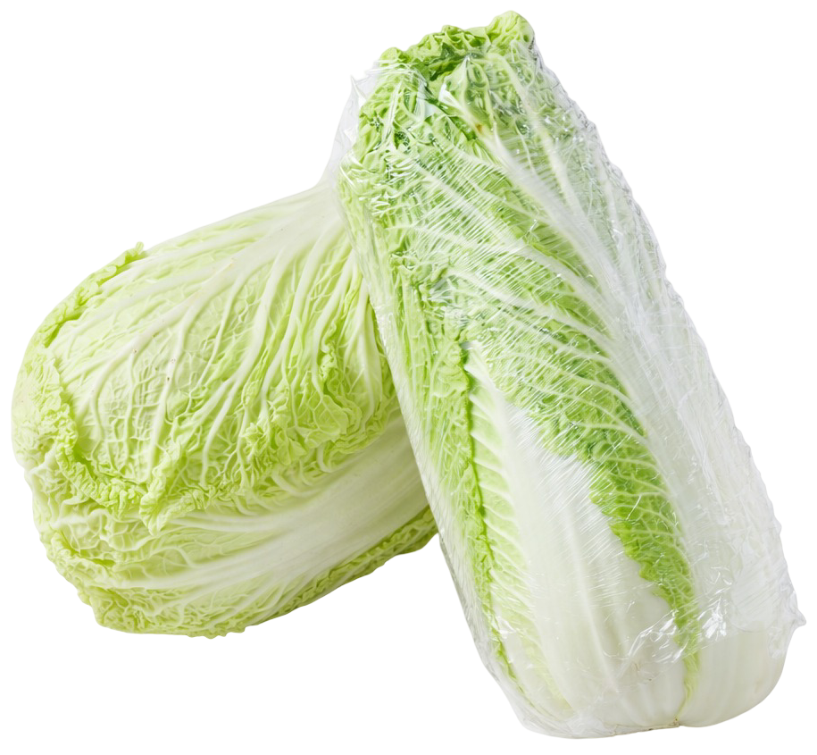 Kapusta pekińska widok 1