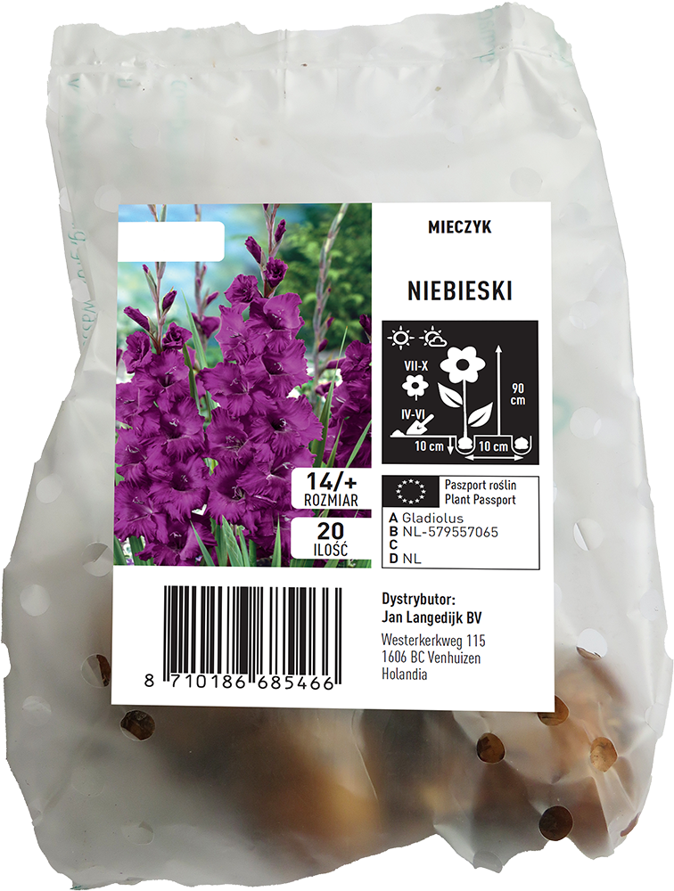 Cebula kwiatowa Mieczyk niebieski 20zt widok 1