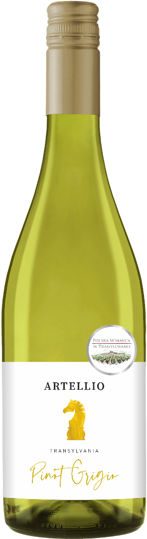 Wino Pw b. Artellio Pinot Grigio 0,75l 12% widok główny