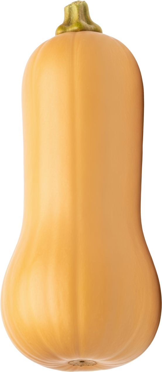 Dynia piżmowa widok 1