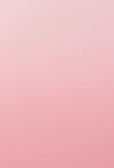 Kwiat Prymula obconica don 12cm szt widok tła