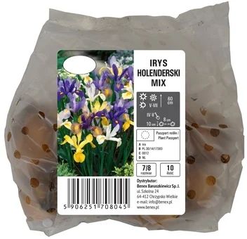 Cebula kwiatowa Irys Holenderski mix 10szt widok 1