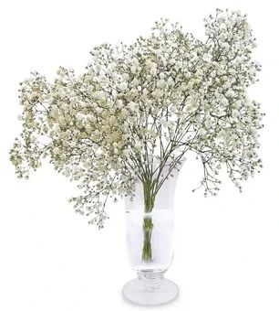 Kwiat bukiet Gipsówka 5szt. widok 1