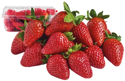 Truskawka 500g szt widok główny