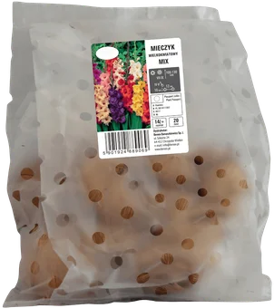 Cebula kwiatowa Mieczyk wielokwiatowy 5szt widok 1