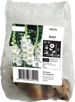 Cebula kwiatowa Mieczyk biały 20szt widok 1