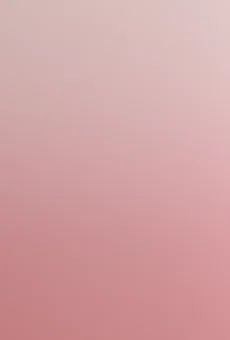 Kwiat Zamioculcas don 17cm szt widok tła