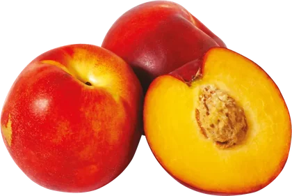 Nektarynka kg widok 1