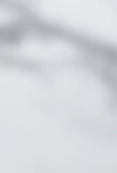 Whisky Ballantines 1l 40% widok tła