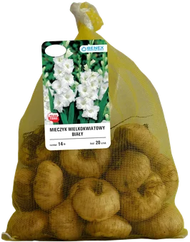 Cebula kwiatowa Mieczyk wielokwiat. mix 20szt widok 1