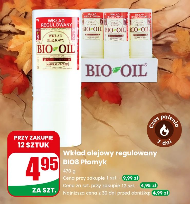 Banner na Wszystkich Świętych, Znicze, Wkłady