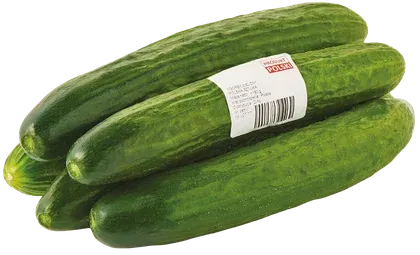 Ogórek zielony polski widok główny 