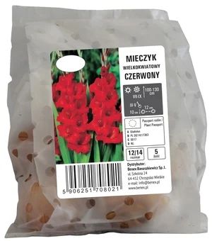Cebula kwiatowa Mieczyk wielkokwiat. czerwony 5szt widok 1