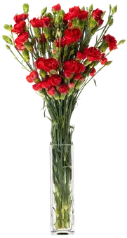 Kwiat bukiet Goździk 10szt widok główny