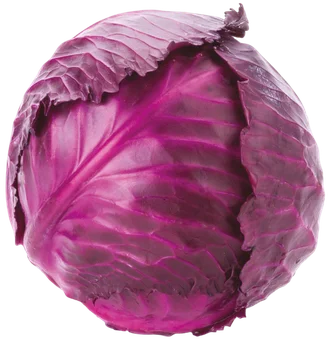 Kapusta czerwona kg widok główny 
