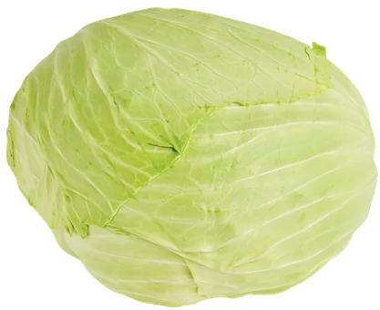 Kapusta na gołąbki kg widok główny 