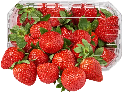 Truskawka 500g szt widok główny 