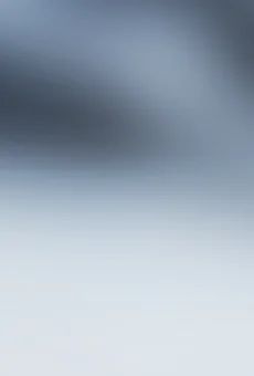 Wódka Bols marine 0,5l 40% widok tła