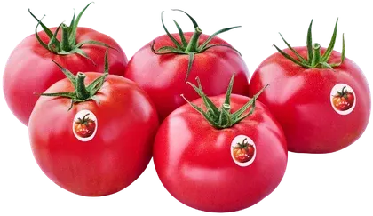 Pomidor malinowy polski widok 1