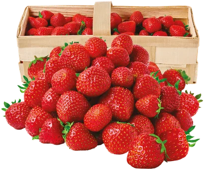 Zdjęcie produktu - Truskawka kg