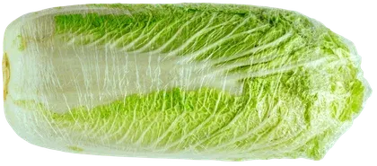 Kapusta pekińska widok 1