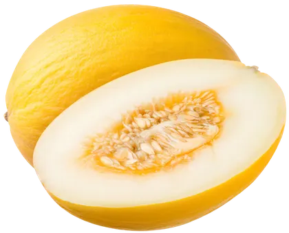 Melon widok 1