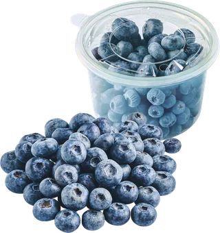 Borówka amerykańska 300g szt widok główny 